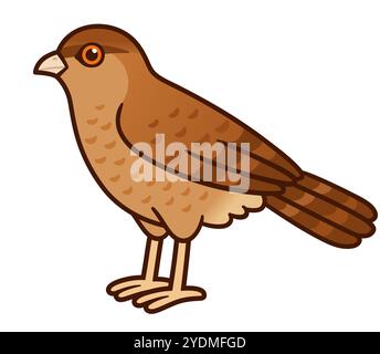 Cartoon drawing of Tiuque (Chimango caracara) wild bird native to South America. Cute native fauna vector illustration. Stock Vector