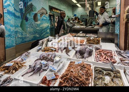 As the street name suggests, you can find the freshest fish in Bologna here. Via Pescherie Vecchie, Bologna, Emilia-Romagna, Italy Stock Photo