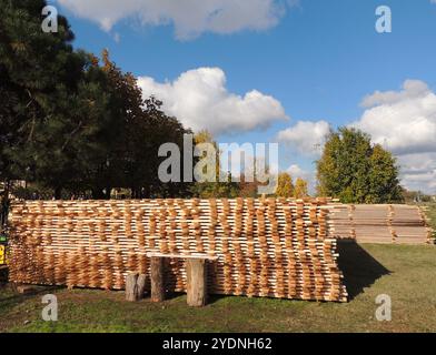 Narrow wooden planks stacked on green grass against a background of coniferous and deciduous green trees and a blue sky with large clouds. Stock Photo