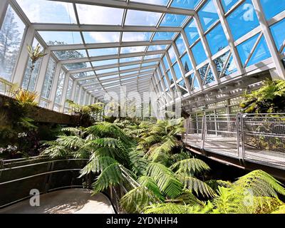 Singapore - August 13, 2024: The Sembcorp Cool House at National Orchid Garden Stock Photo