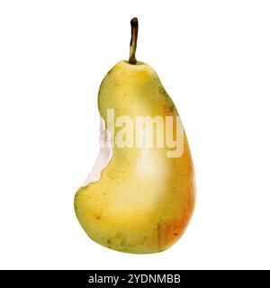Biten Pear pear bitten watercolor drawing isolated on white background Stock Photo ...
