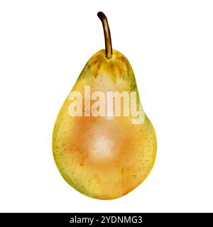 Pear Side View Green pear. Fruit with a small branch of green and yellow color. Side ...