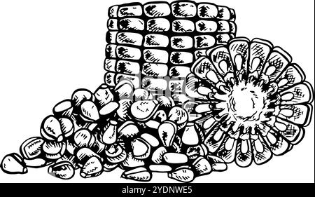 A sliced corn cob and a handful of grains. Vector graphics with the image of corn. Black and white hand-drawn illustration. On a white background. Gre Stock Vector