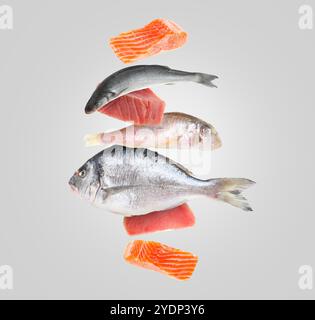 Different sea food in air on light grey background Stock Photo