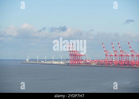 Liverpool container terminal freeport, located just north of Everton's new Bramley Moore stadium, Merseyside, Liverpool, England Stock Photo
