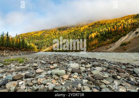 North America; United States; Alaska Range Mountains; Denali National Park; Nenana River; Taiga; Autumn color. Stock Photo