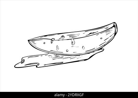 Vector monochrome mango slice in juice drops and water splashes hand drawn sketch painted by black inks. Summer tropical fruit ingredient for salad Stock Vector