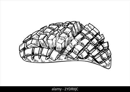 One cut half mango vector line art black and white ink sketch. Aromatic juicy sliced mango cubes fruit monochrome hand drawn flat. For summer healthy Stock Vector