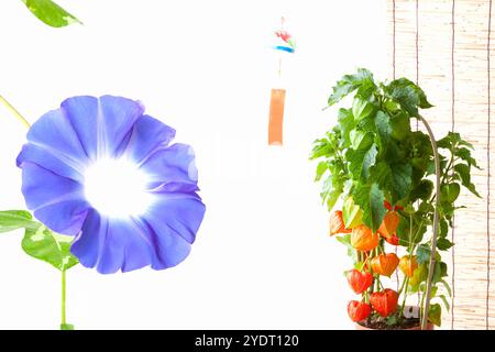 Summer in Japan Stock Photo