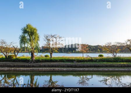 Scenery of Lake Senba located in Mito cityh, Ibaraki Prefecture, Japan Stock Photo