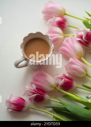 White Coffee Mug and Pink Tulips on White, Vertical Flat Lay Stock Photo