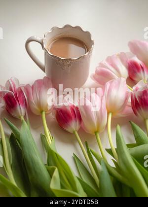 White Coffee Mug and Pink Tulips on White, Vertical Flat Lay Stock Photo