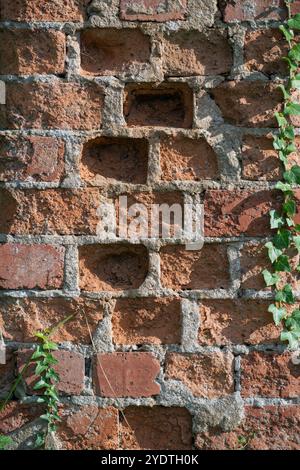 A weathered brick wall shows age with missing bricks and creeping ivy, revealing the passage of time and nature's reclamation. Stock Photo