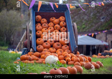 Pumpkins displayed at a farm in readiness for Halloween Stock Photo