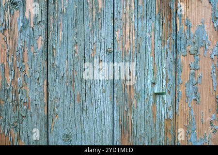 Wooden planks with peeling light blue paint. Light turquoise  background Stock Photo