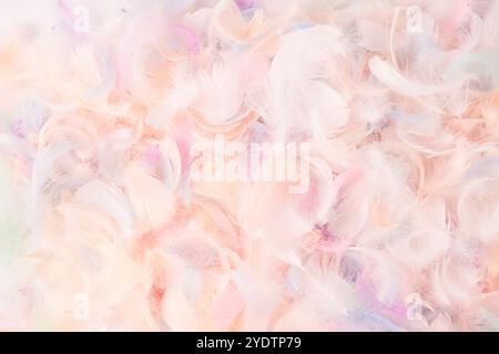 Colorful feather background, top view. Copy space. Stock Photo