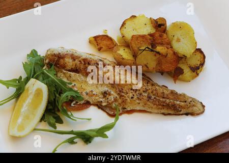 Mediterranean cuisine, fried pike-perch fillet, roast potatoes, fried potatoes, rocket salad, lemon wedge, plate, served, fish dish, food photography Stock Photo