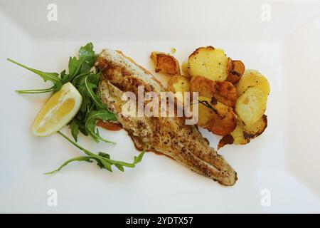 Mediterranean cuisine, fried pike-perch fillet, roast potatoes, fried potatoes, rocket salad, lemon wedge, plate, served, fish dish, food photography Stock Photo