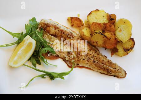 Mediterranean cuisine, fried pike-perch fillet, roast potatoes, fried potatoes, rocket salad, lemon wedge, plate, served, fish dish, food photography Stock Photo