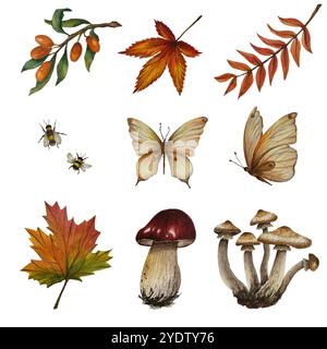 Set of bolete and honey mushroom, butterfly, autumn leaves, rowan, buckthorn, maple and bee. Watercolor illustration. Can use in postcards, textile, t Stock Photo