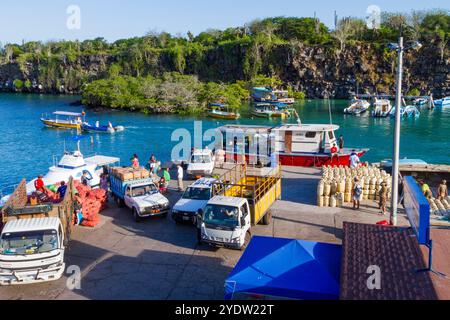 Scenic view of the port town of Puerto Ayora, Santa Cruz Island, Galapagos Island Archipelago, UNESCO World Heritage Site, Ecuador, South America Stock Photo