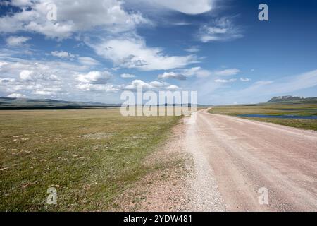 A dirt road meanders through a vibrant green field in Son Kol Lake (Songkol), surrounded by distant snow-capped mountains, Kyrgyzstan, Central Asia Stock Photo