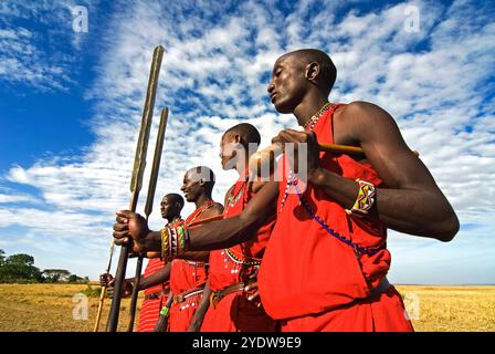 Maasai (Masai) Warriors, Masai Mara National Reserve, Kenya, East Africa, Africa Stock Photo