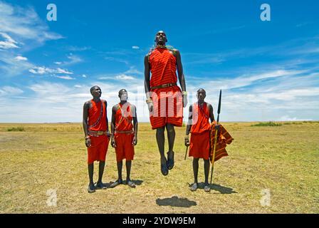 Maasai (Masai) warriors perform jumping dance, Masai Mara National Reserve, Kenya, East Africa, Africa Stock Photo