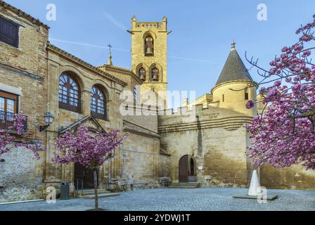 Palace of the Kings of Navarre or Royal Palace of Olite is a castle-palace in the town of Olite, in Navarre, Spain, Europe Stock Photo