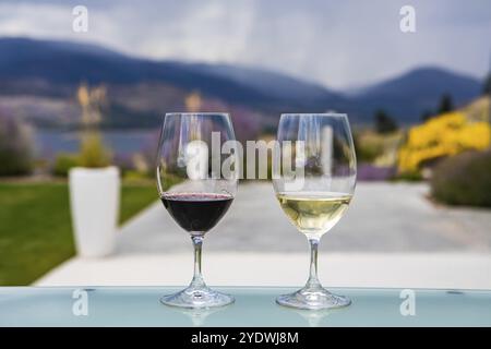 Pair of glasses on glass table close up, selective focus view, two wine glasses filled of dark red and golden white wines, blurred nature background Stock Photo