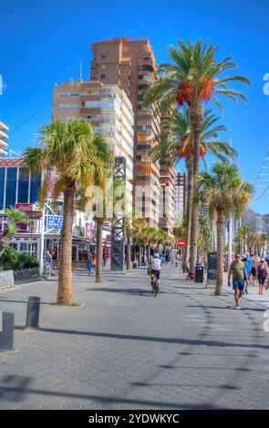 Palm tree lined promenade on Levante beach in Benidorm on the Costa Blanca in Spain Stock Photo