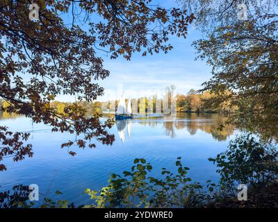 autumn in the schwanenteich park, Zwickau East Germany Stock Photo