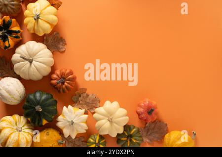 Festive composition of decorative small pumpkins, colorful leaves on orange background. Thanksgiving Day and Halloween mock up. View from above. Top v Stock Photo