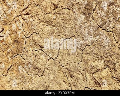 Dry cracked earth background. the dried-up bottom of the lake during the dry season in Africa. Stock Photo