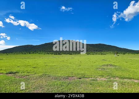 African landscape. endless savanna is covered with green grass. Countless herds of herbivores graze. On the horizon is a mountain range. There are pic Stock Photo