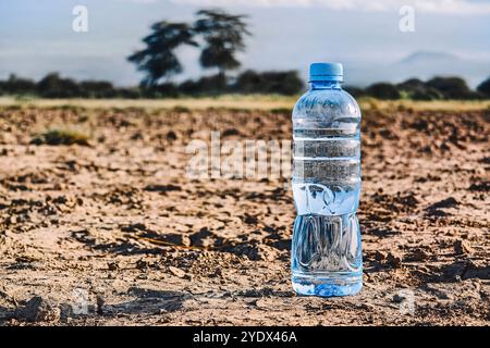 Concept of thirst, dehydration, lack of water. A plastic bottle of water on cracked dry ground. Stock Photo