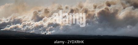 Heather burning on a shooting estate in the Yorkshire Dales. The heather is burnt to make sure there is plenty of new growth for Red Grouse. Stock Photo