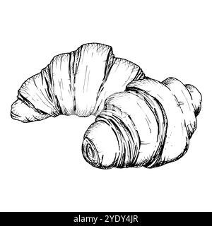 A detailed hand drawn sketch of croissants. Vector black and white illustration of a flaky, layered French pastry. Perfect for bakery, breakfast, or Stock Vector