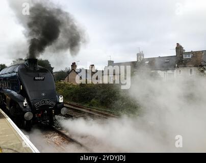 60007 Sir Nigel Gresley LNER Class A4 4-6-2 (Pacific) steam locomotive, under steam at Llandudno Junction, built to a design by Sir Greasley in 1937 Stock Photo