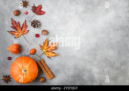 Thanksgiving autumn background. Pumpkin, fall dried leaves, flowers, nuts, chestnuts, berries, cinnamon on gray concrete background. Flat lay. Autumn Stock Photo