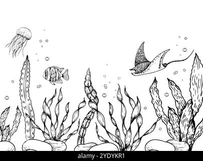 Vector pebbles stone, algae coral. Hand painted line seaweed, starfish ...