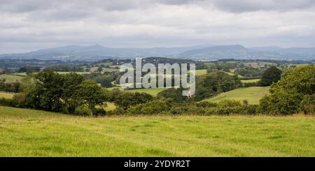 The Black Mountains rise in the distance behind the rolling pastoral landscape of Monmouthshire in South Wales, as viewed from Llanfihangel Tor-y-Myny Stock Photo