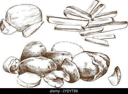 Potatoes whole, half, cut, peeled and wedges. Set o isolated elements graphic illustration hand drawn in brown ink. EPS vector on the theme of harvest Stock Vector