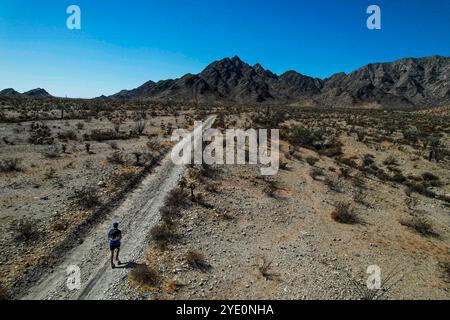 Aerial view of competitors running through the desert as part of the Great Desert Race on October 19, 2024 in Puerto Peñasco, Sonora, Mexico. (Photo by Luis Gutierrez/Norte Photo)  Vista aérea de competidores corriendo por el desierto como parte de la Gran Carrera del Desierto el 19 de octubre de 2024 en Puerto Peñasco, Sonora, México. (Foto de Luis Gutiérrez/Norte Photo) Stock Photo