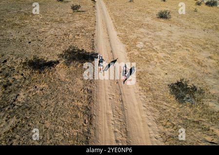 Chloe Brennan, Aerial view of competitors running through the desert as part of the Great Desert Race on October 19, 2024 in Puerto Peñasco, Sonora, Mexico. (Photo by Luis Gutierrez/Norte Photo)  Chloe Brennan, Vista aérea de competidores corriendo por el desierto como parte de la Gran Carrera del Desierto el 19 de octubre de 2024 en Puerto Peñasco, Sonora, México. (Foto de Luis Gutiérrez/Norte Photo) Stock Photo