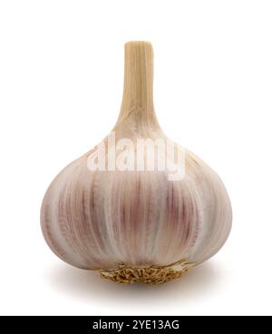 Garlic bulb  isolated on white background Stock Photo