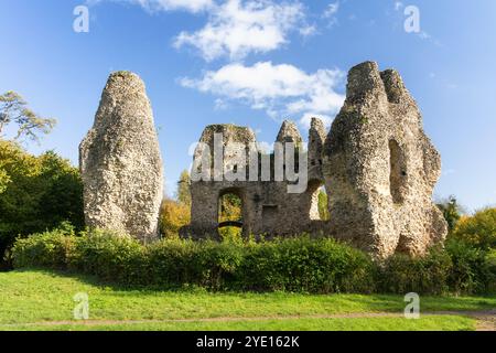 The ruined flint core of the octagonal keep of Odiham Castle, also known as King John's Castle, next to Basingstoke Canal on an autumn day. UK Stock Photo