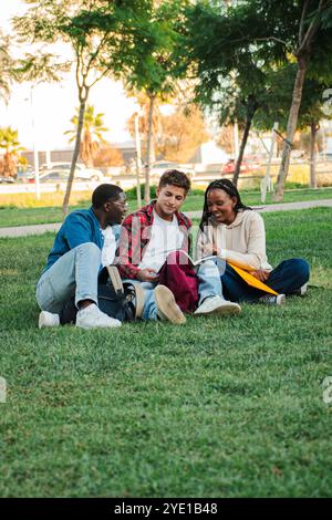 Vertical Three young students studying and doing homework on a university campus lawn, engaged in learning, enjoying group study outdoors, diverse teenage friends sharing knowledge, preparing for exam. High quality photo Stock Photo