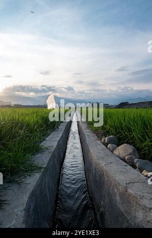 a ditch made of concrete in the rice fields. It functions to channel water to the rice fields Stock Photo