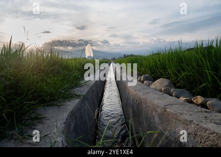 Water Channel Rice Field a ditch made of concrete in the rice fields. It functions to channel ...
